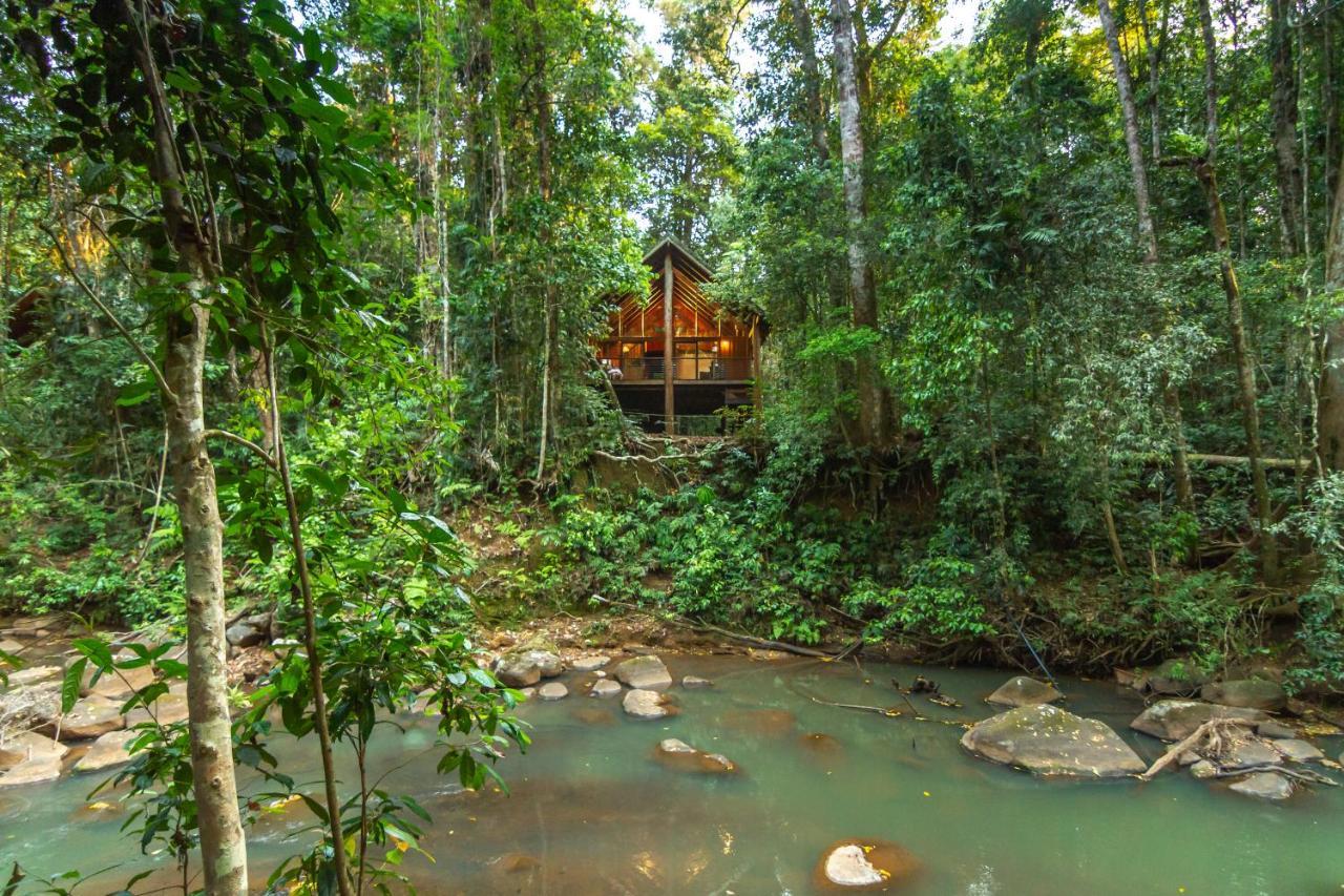 The Canopy Rainforest Treehouses & Wildlife Sanctuary Tarzali Eksteriør billede